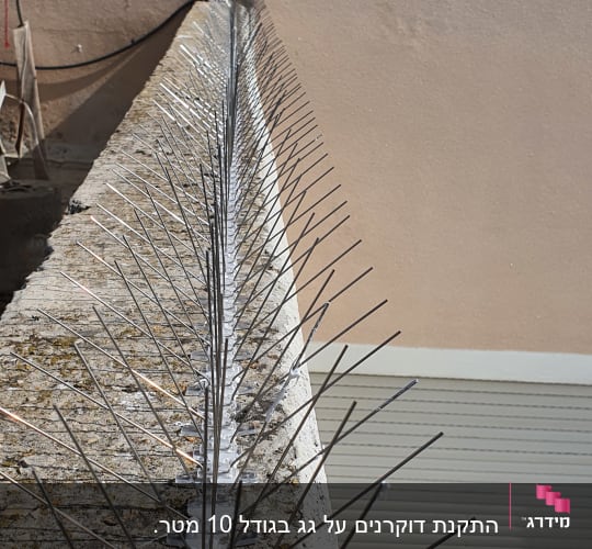 דוקרנים למניעת יונים על קיר בטון